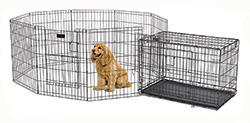 colossal dog crate